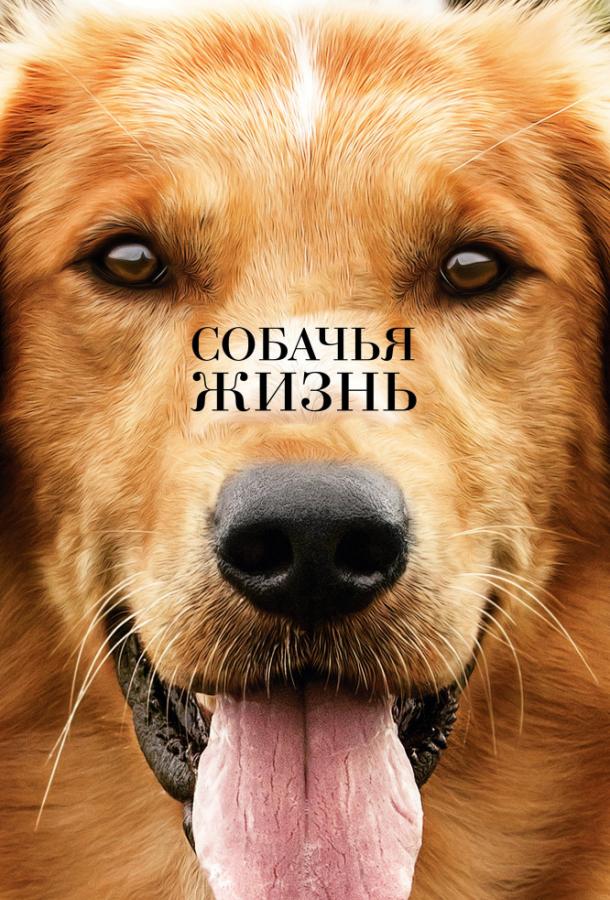 Фильм Собачья жизнь (2017) смотреть онлайн бесплатно